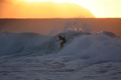 DSC_8699.JPG