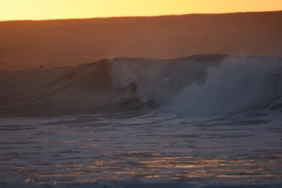 DSC_8700.JPG