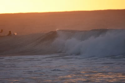DSC_8701.JPG