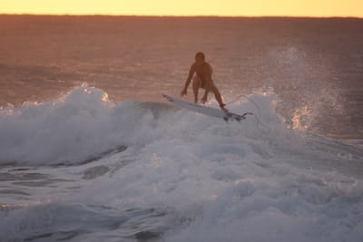 DSC_8703.JPG