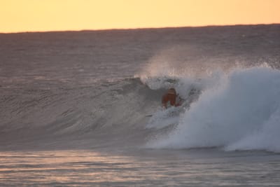 DSC_8706.JPG