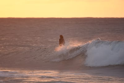 DSC_8708.JPG