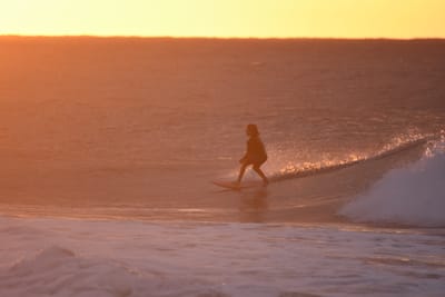 DSC_8709.JPG