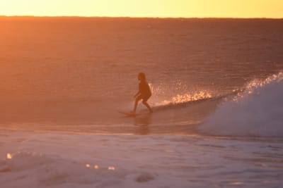 DSC_8710.JPG