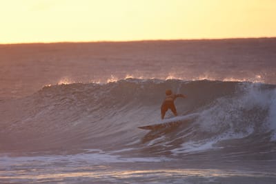 DSC_8713.JPG