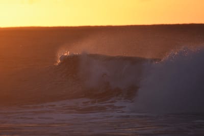 DSC_8715.JPG