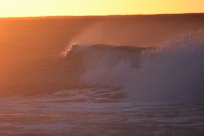 DSC_8716.JPG