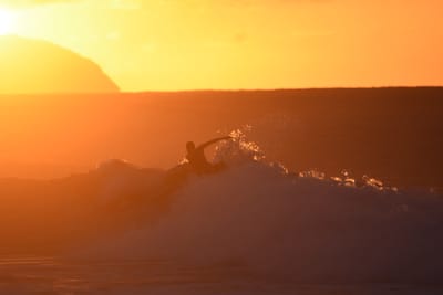 DSC_8722.JPG