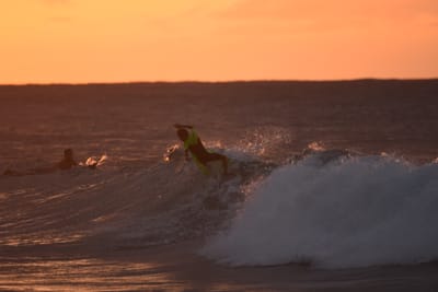 DSC_8728.JPG