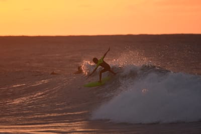 DSC_8730.JPG