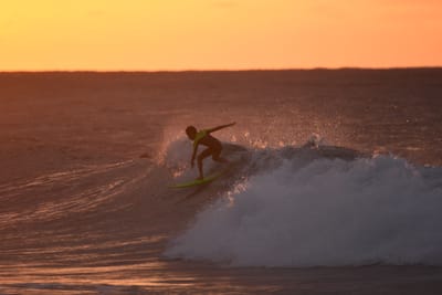 DSC_8731.JPG