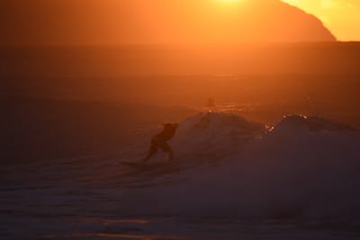DSC_8732.JPG