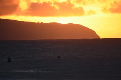 DSC_8740.JPG