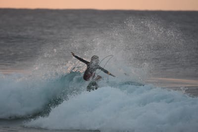 DSC_8743.JPG