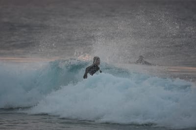 DSC_8744.JPG