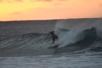 DSC_8748.JPG