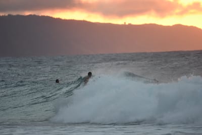 DSC_8752.JPG