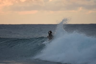 DSC_8761.JPG