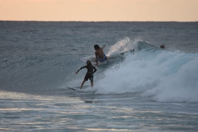 DSC_8762.JPG