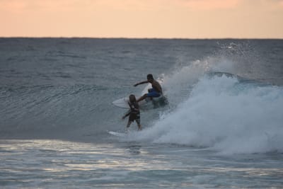 DSC_8764.JPG