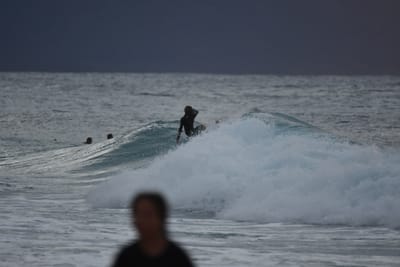DSC_8766.JPG