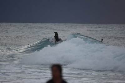 DSC_8767.JPG