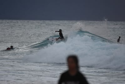 DSC_8768.JPG