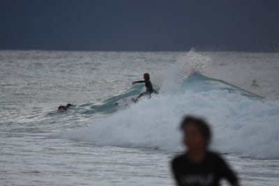 DSC_8769.JPG