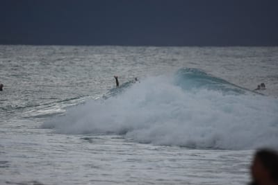 DSC_8772.JPG