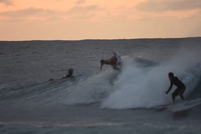 DSC_8778.JPG