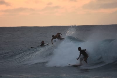 DSC_8779.JPG