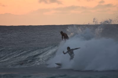 DSC_8782.JPG