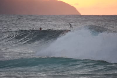 DSC_8783.JPG