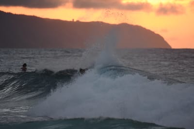 DSC_8786.JPG