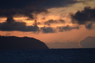 DSC_8788.JPG