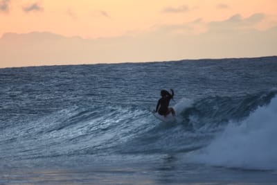 DSC_8792.JPG