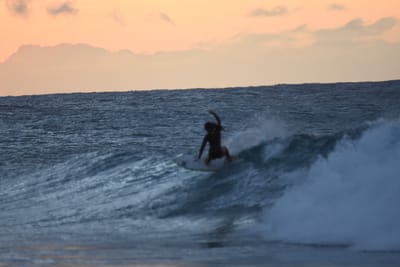 DSC_8793.JPG