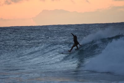 DSC_8795.JPG
