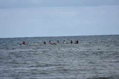 DSC_8815.JPG