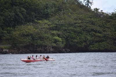 DSC_8820.JPG