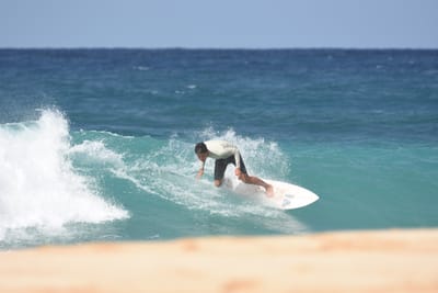 DSC_8838.JPG