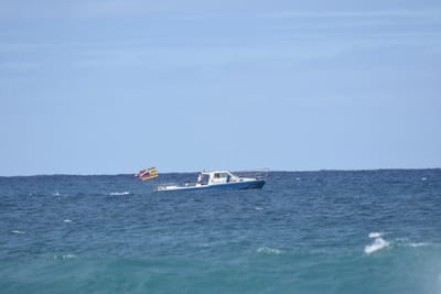 DSC_8843.JPG