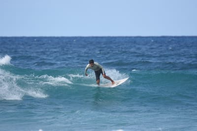 DSC_8857.JPG