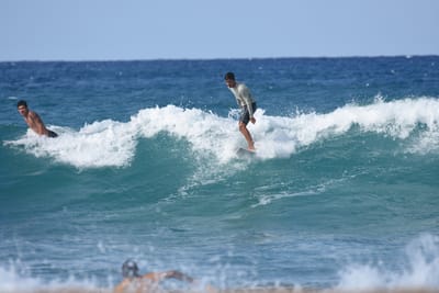 DSC_8875.JPG