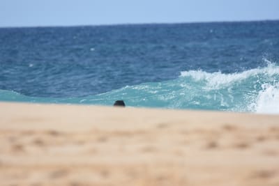 DSC_8913.JPG