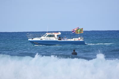 DSC_8917.JPG
