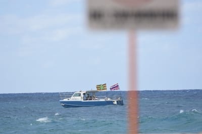 DSC_8918.JPG