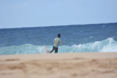 DSC_8930.JPG