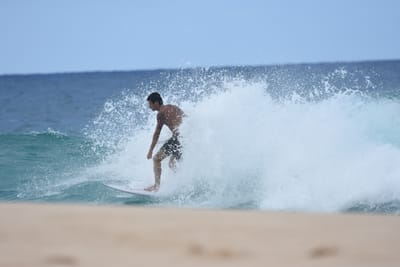 DSC_8937.JPG