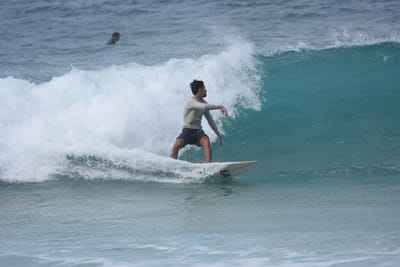 DSC_8944.JPG
